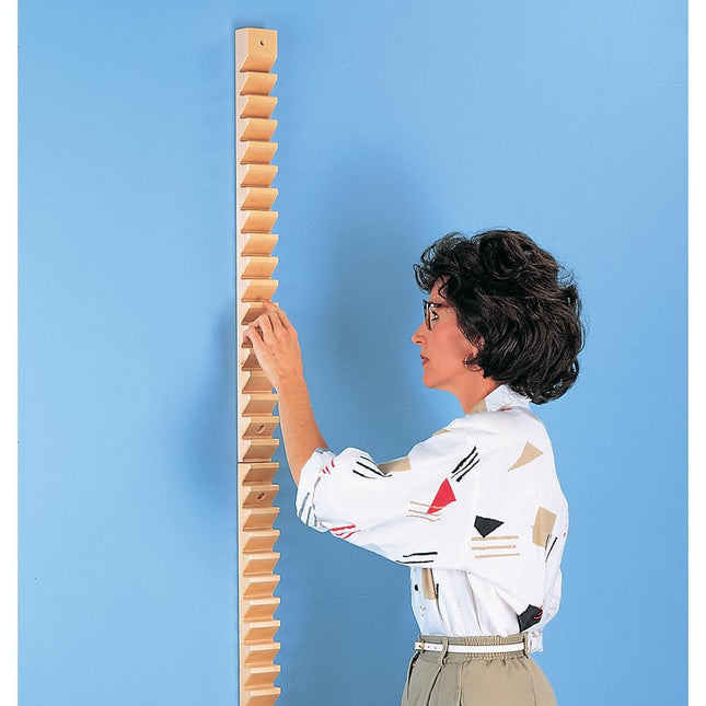 Hausmann Shoulder Finger Ladder 2515