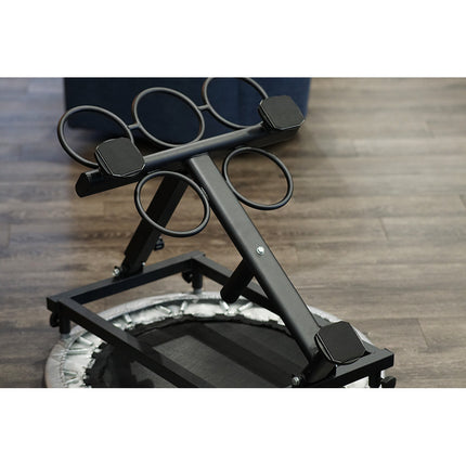 Healthy You Medicine Ball Rebounder with Rack Package Includes Balls and Weights