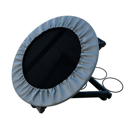 Healthy You Medicine Ball Rebounder with 6 Ball Rack