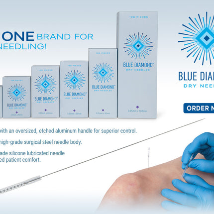 Blue Diamond Dry Needle 100/Box
